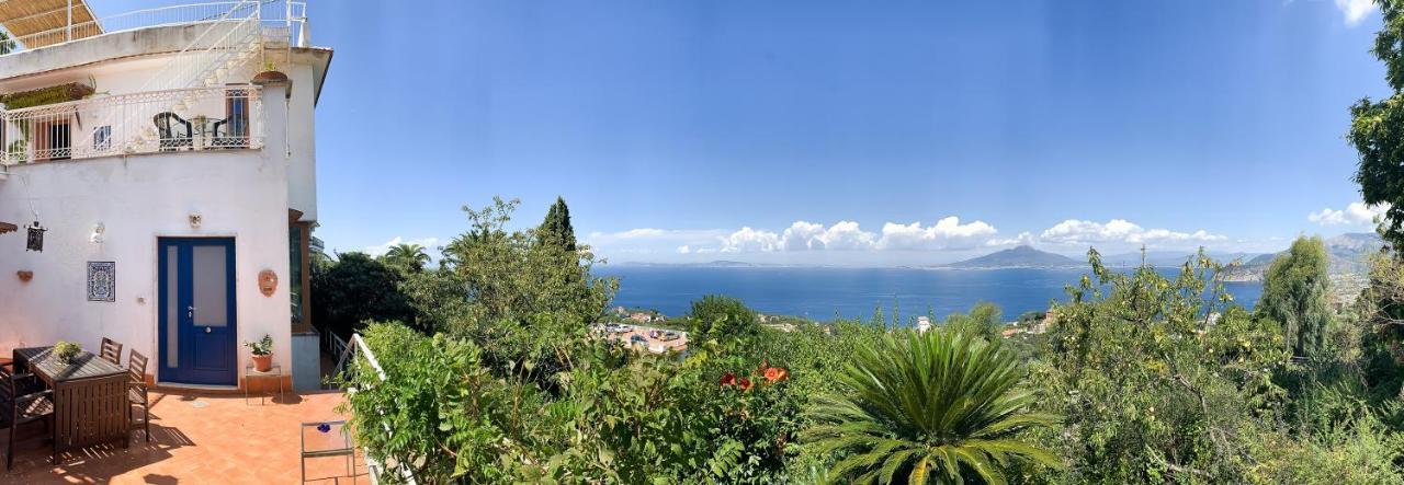 Amore - La Selva Sorrento